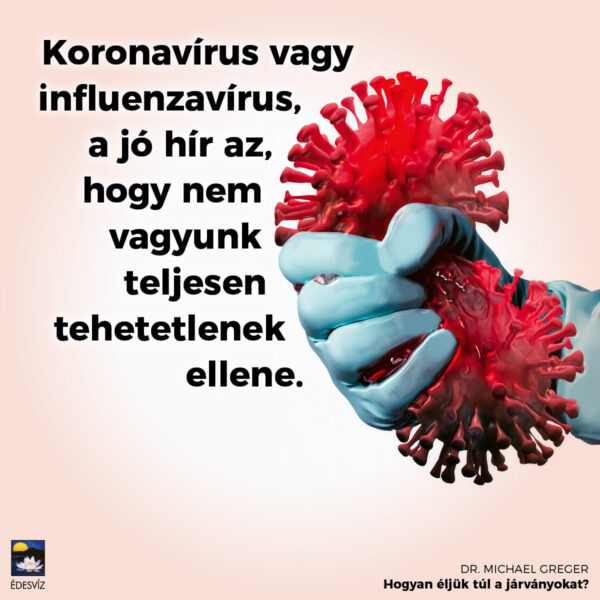 Hogyan éljük túl a járványokat - Image 2