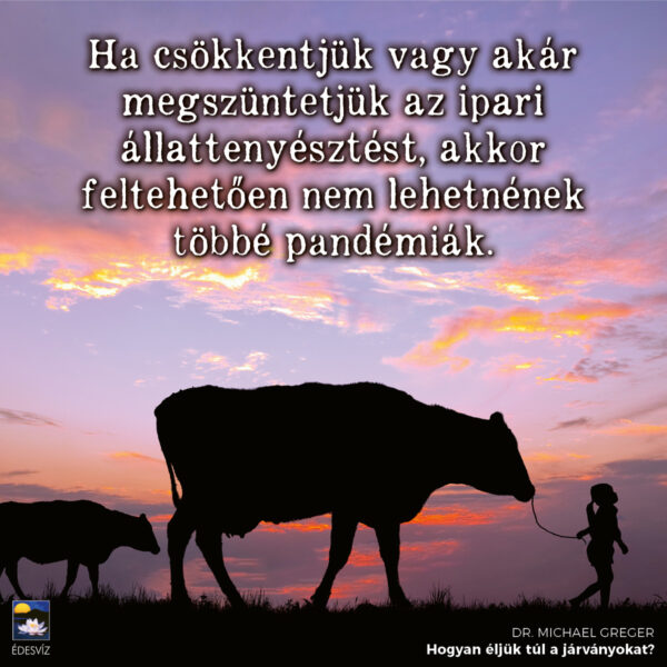 Hogyan éljük túl a járványokat - Image 5