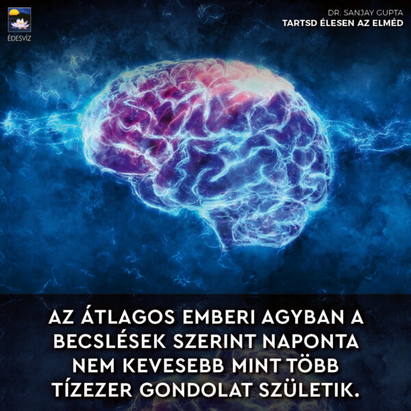 Tartsd élesen az elméd - Image 7