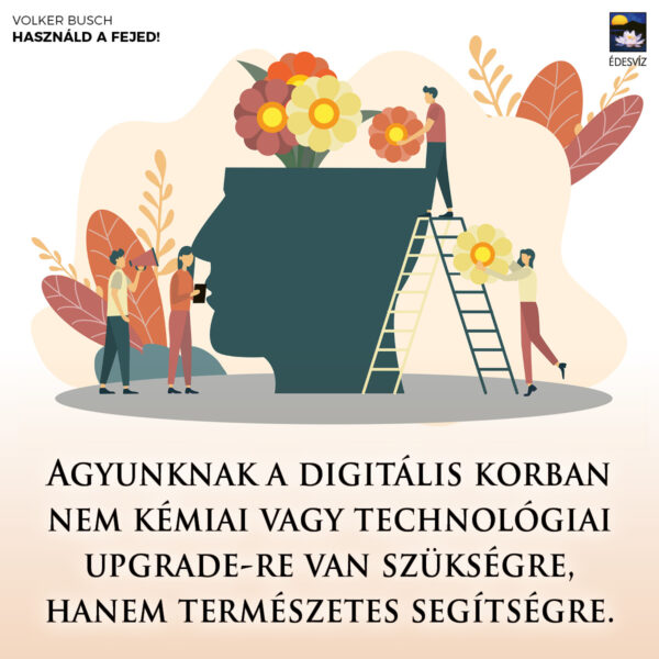 Használd a fejed! - Image 2