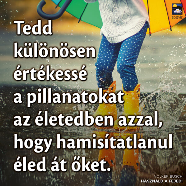 Használd a fejed! - Image 3