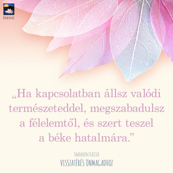 Visszatérés önmagadhoz - Image 2