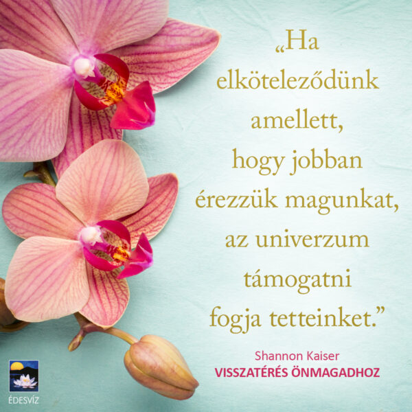 Visszatérés önmagadhoz - Image 7