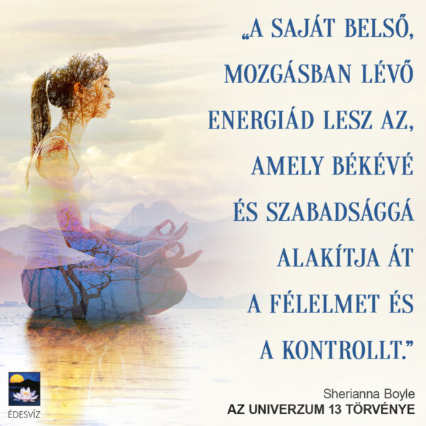Az Univerzum 13 törvénye - Image 2