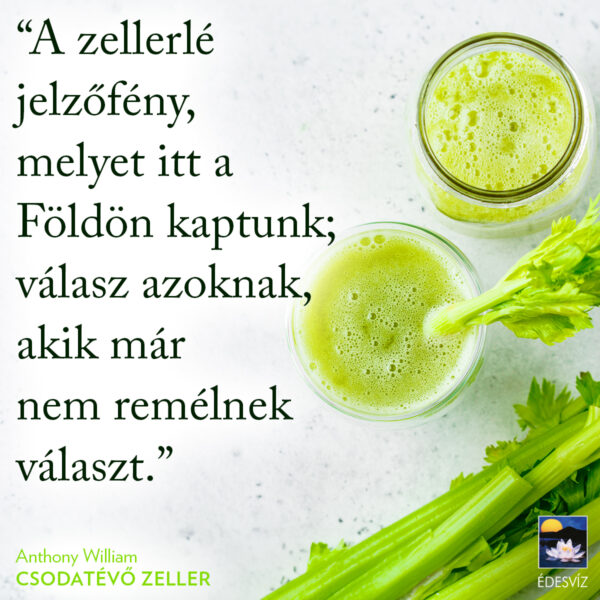 Csodatévő zeller - Image 2