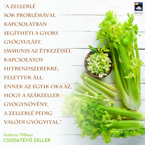 Csodatévő zeller - Image 4
