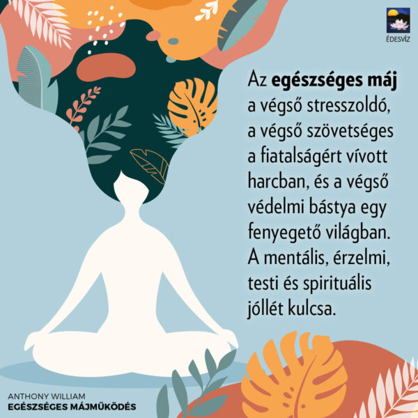 Egészséges májműködés - Image 3