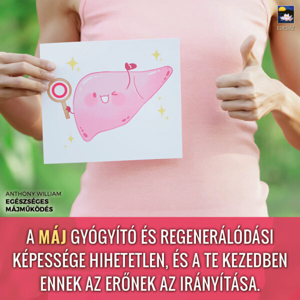 Egészséges májműködés - Image 5