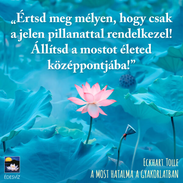 A most hatalma a gyakorlatban - Image 2