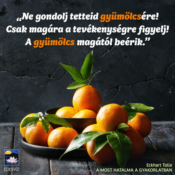 A most hatalma a gyakorlatban - Image 6