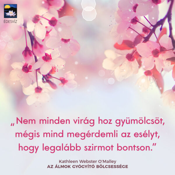 Az álmok gyógyító bölcsessége - Image 4