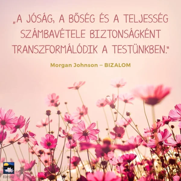 Morgan Johnson: Bizalom