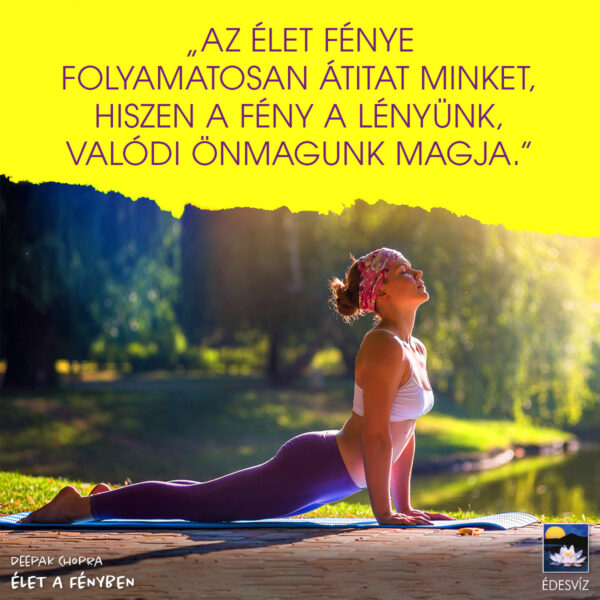 Élet a fényben - Image 2