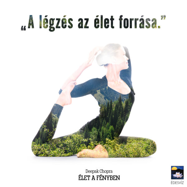 Élet a fényben - Image 7