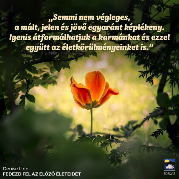Fedezd fel az előző életeidet - Image 2