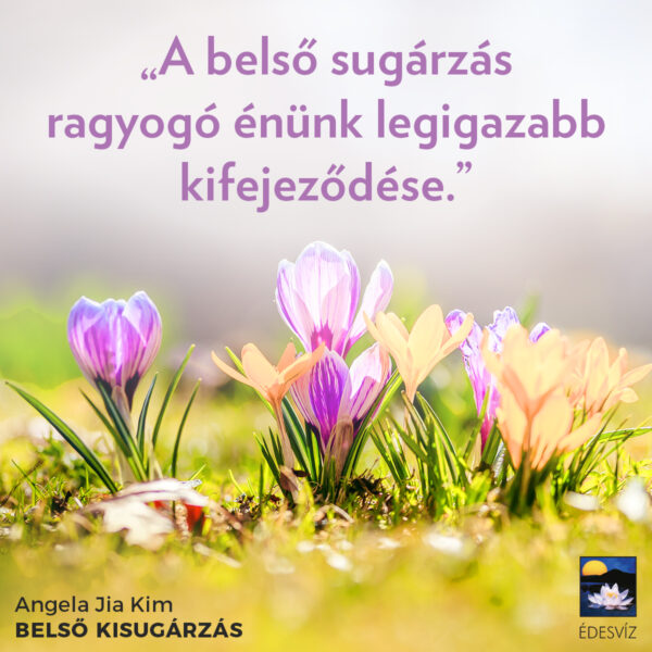 Belső kisugárzás - Image 3