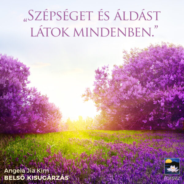 Belső kisugárzás - Image 5