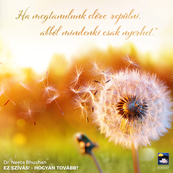 Ez szívás! - hogyan tovább? - Image 5