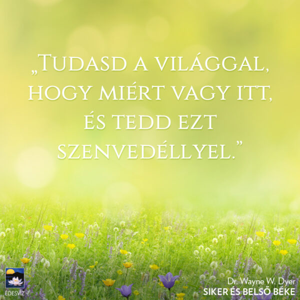 Siker és belső béke - Image 3