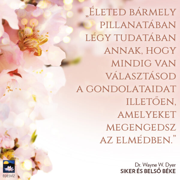 Siker és belső béke - Image 2