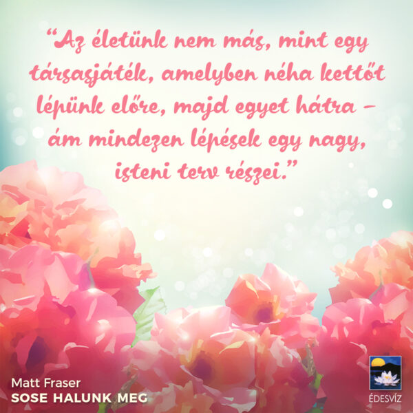 Sose halunk meg - Image 5