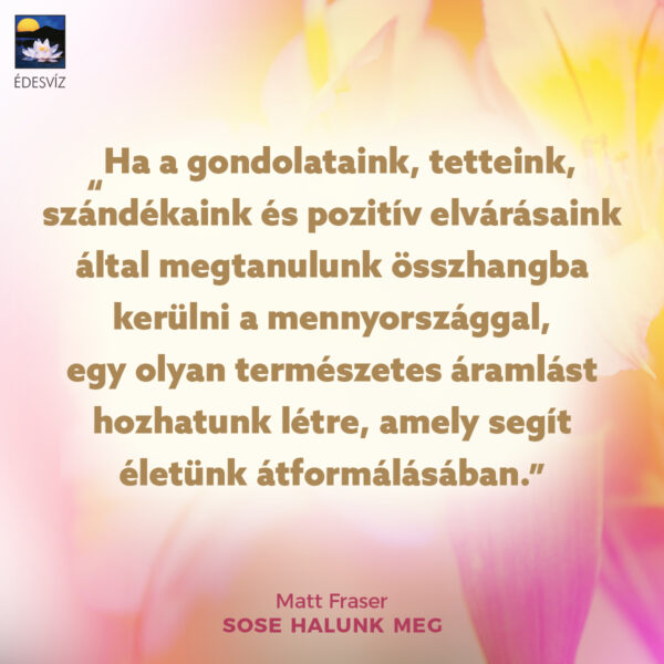 Sose halunk meg - Image 3