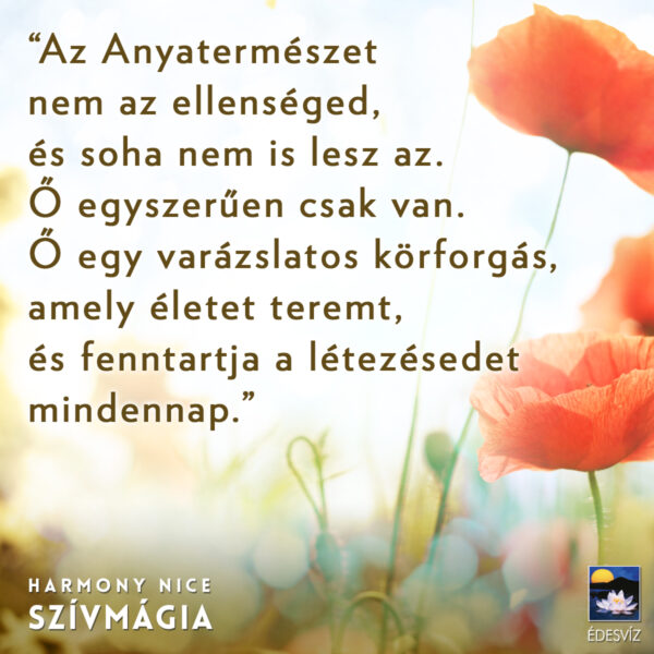 Szív Mágia - Image 4