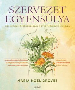 Maria Noel Groves: A szervezet egyensúlya