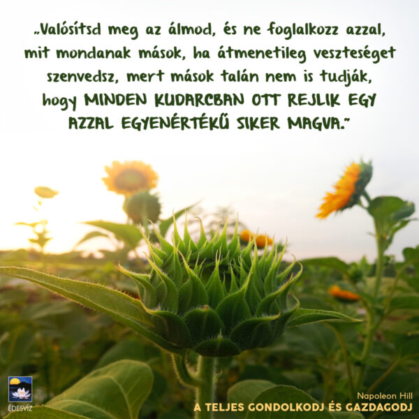 A teljes gondolkodj és gazdagodj - Image 6