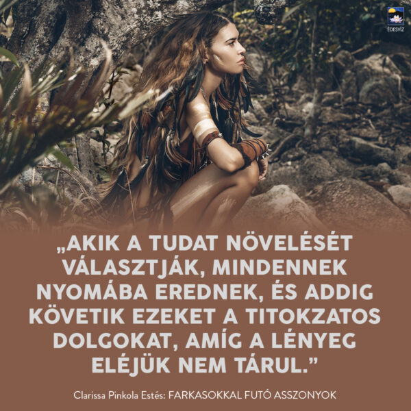Farkasokkal futó asszonyok - Image 2