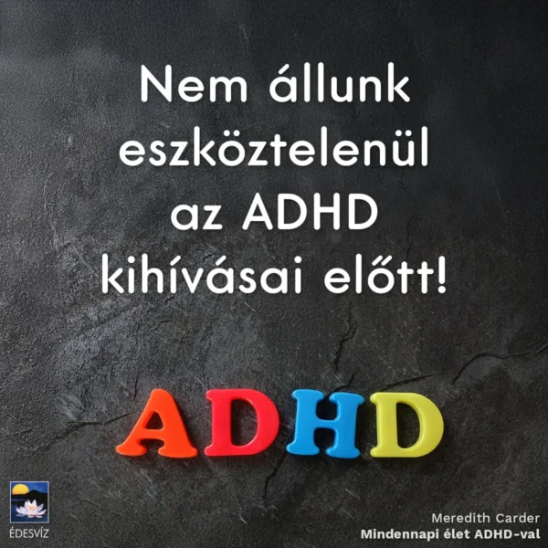 Meredith Carder: Mindennepi élet ADHD-val