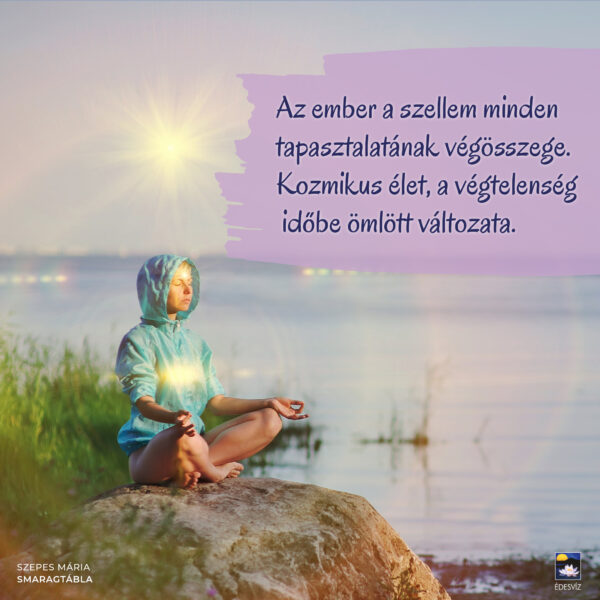 Összekapcsolt sorsok, különböző végzetek - Image 5