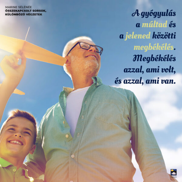 Összekapcsolt sorsok, különböző végzetek - Image 6