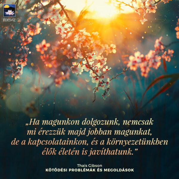 Kötődési problémák - megoldások - Image 5