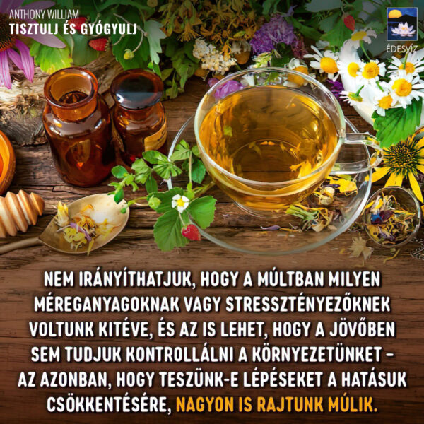 Tisztulj és gyógyulj - Image 5