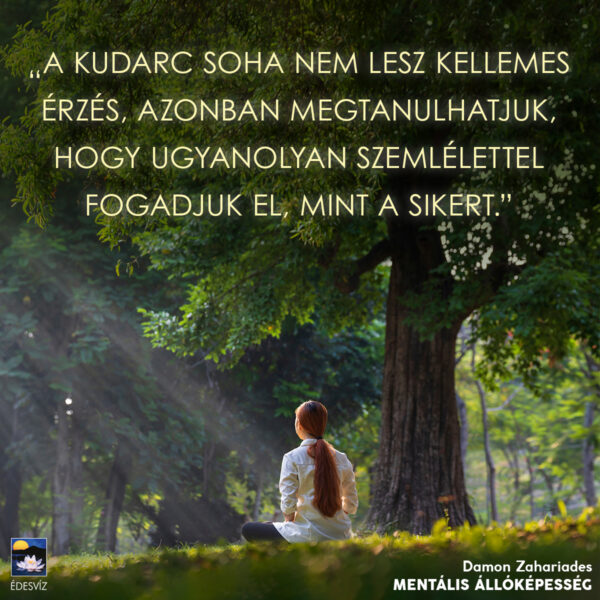 Mentális állóképesség - Image 3