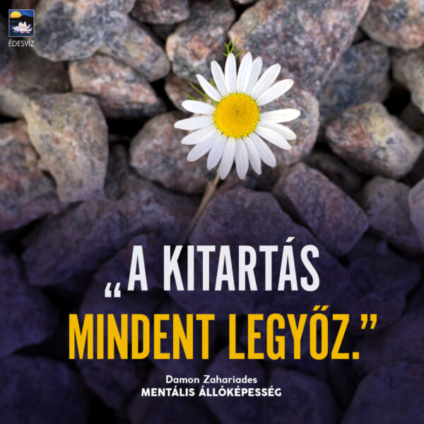 Mentális állóképesség - Image 6