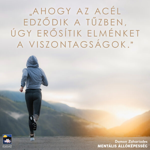 Mentális állóképesség - Image 7